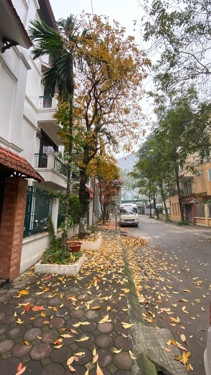 z6613917347273_d881e36bd5c7b29540d331ee18fff15d