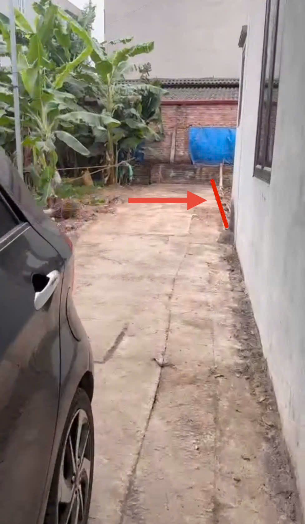 z6617049357845_cf055d3924b4193323836db40eff6548