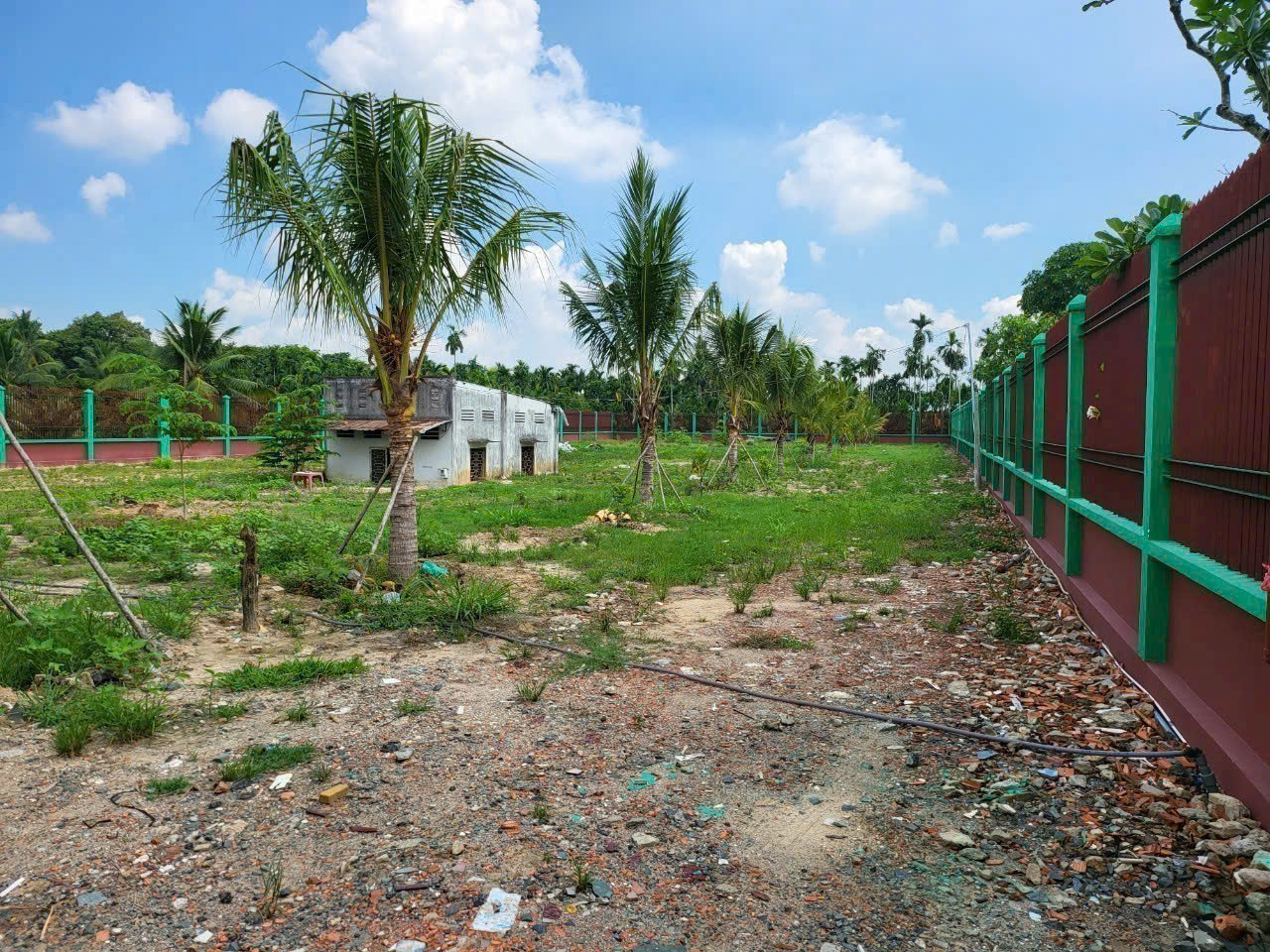 z6620701343543_266edb86a028318f98e70154b0173611