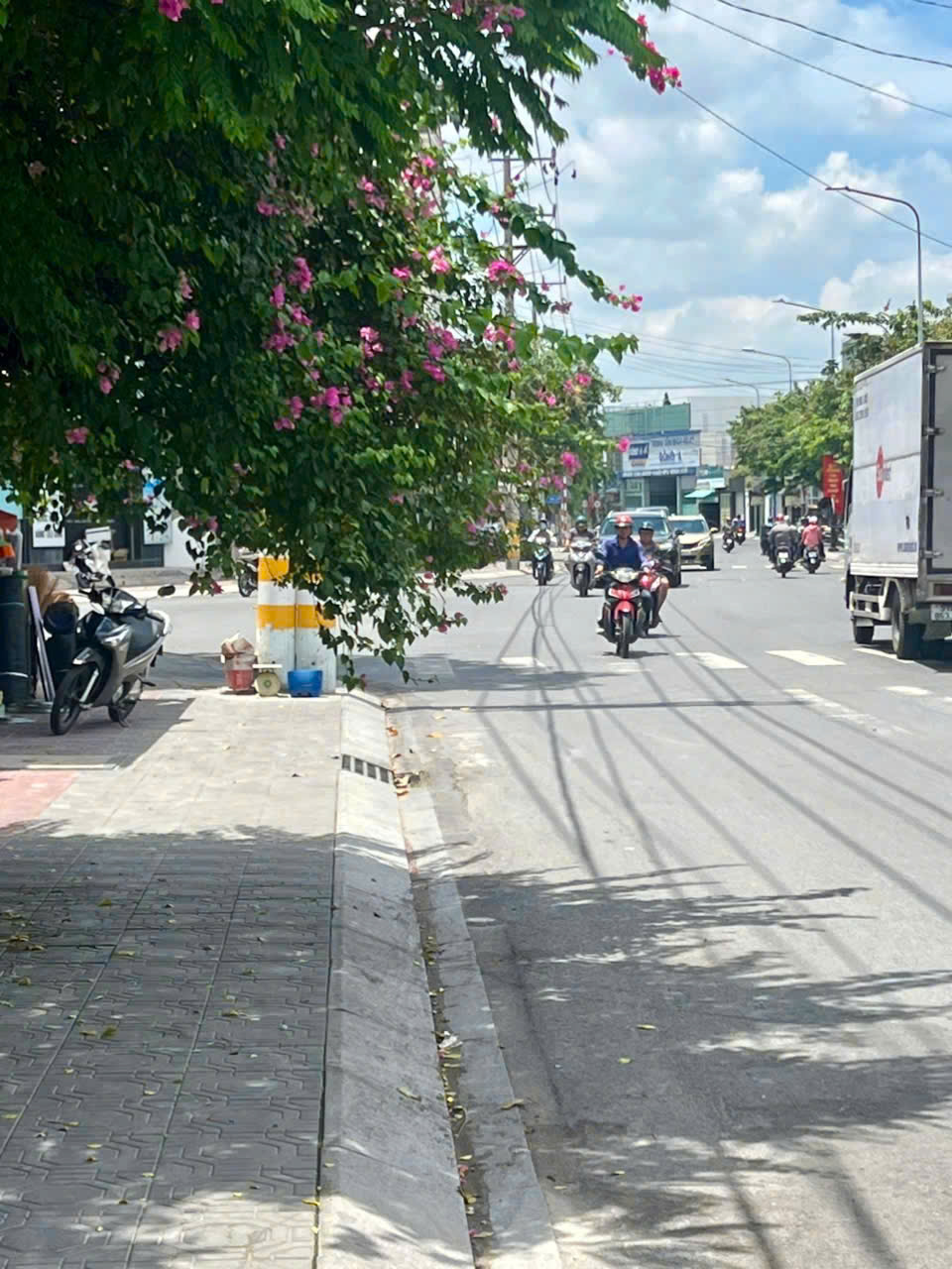 z6622524323032_4be4e294b6e72e5dd6d9f7778aa8c647