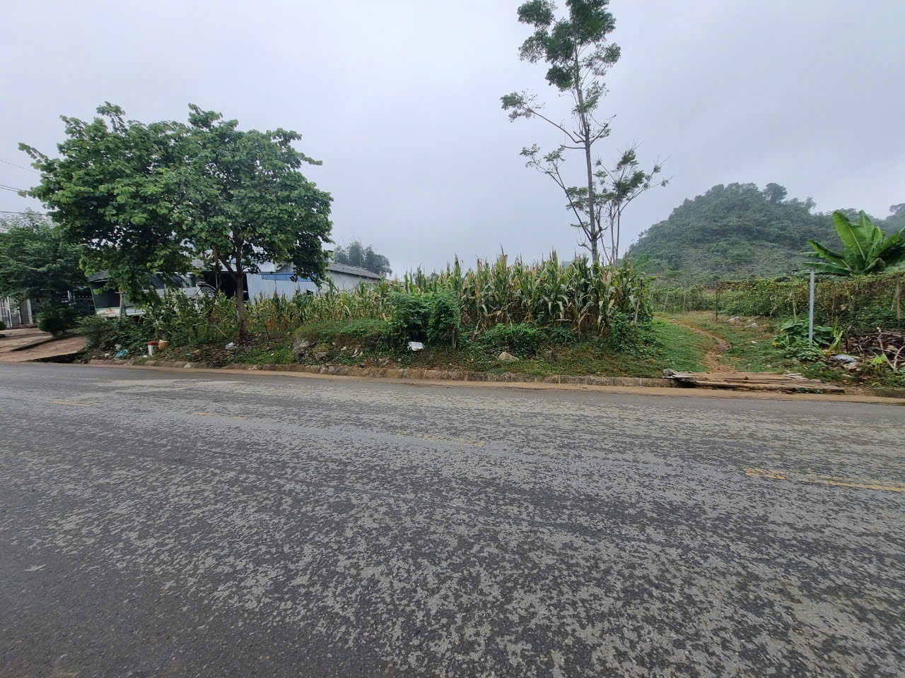 z6622931573273_b95d8b03fbe51e57d477c18bb9ea87e3