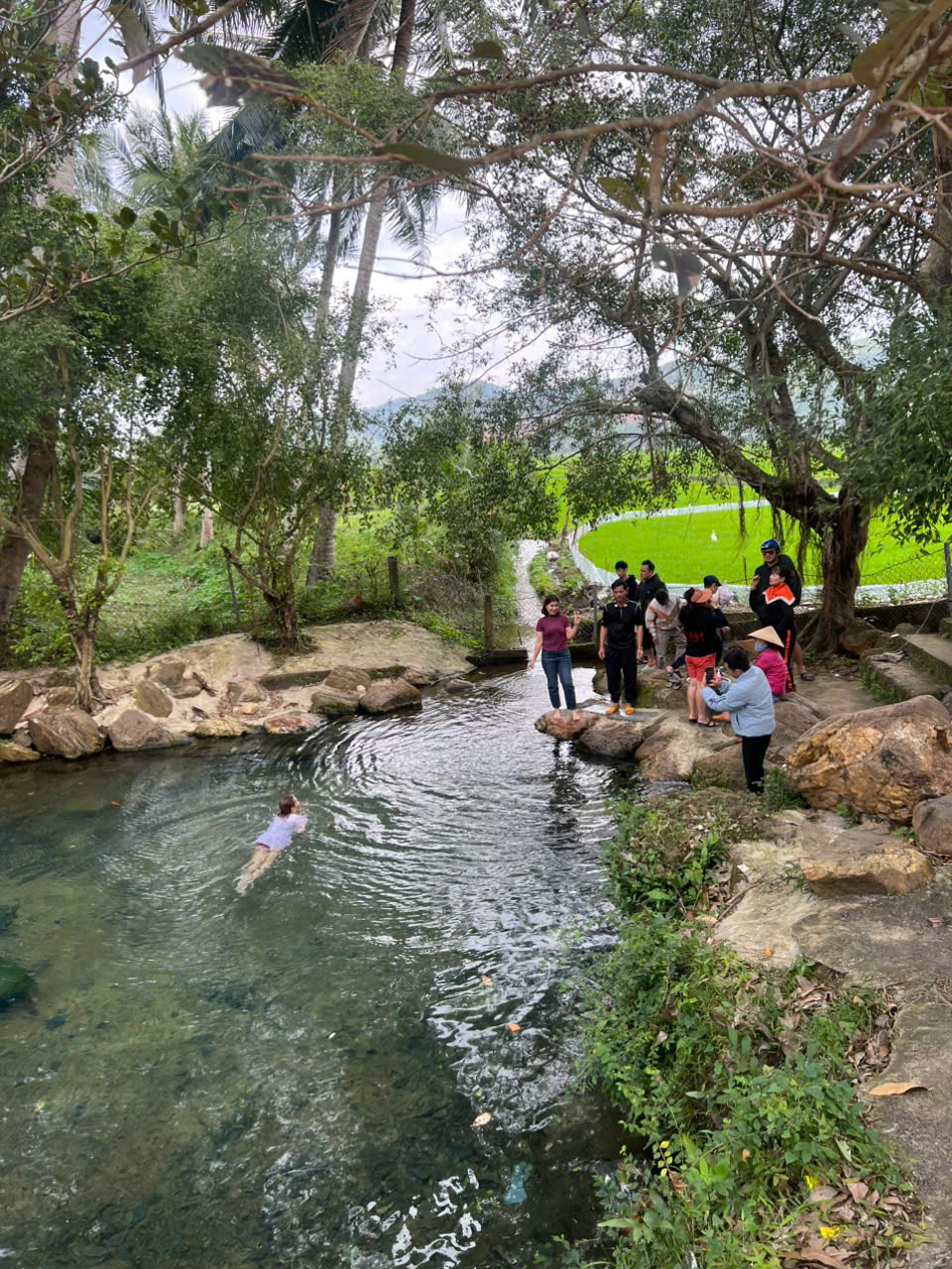 z6623880141706_6a36447228c278064dde6c3f1fc78e03