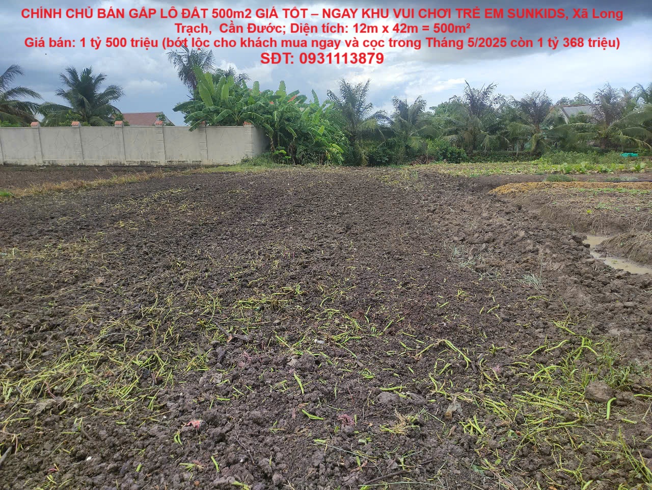 z6624296157041_9999f89226a111b23cfab5612ef015a