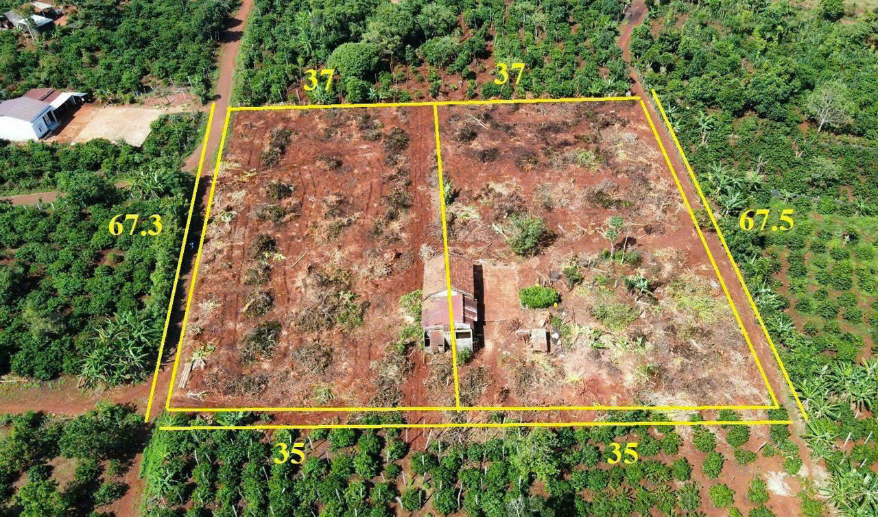 z6626504494191_106ee21d8fd48f832deb529e86588ba7