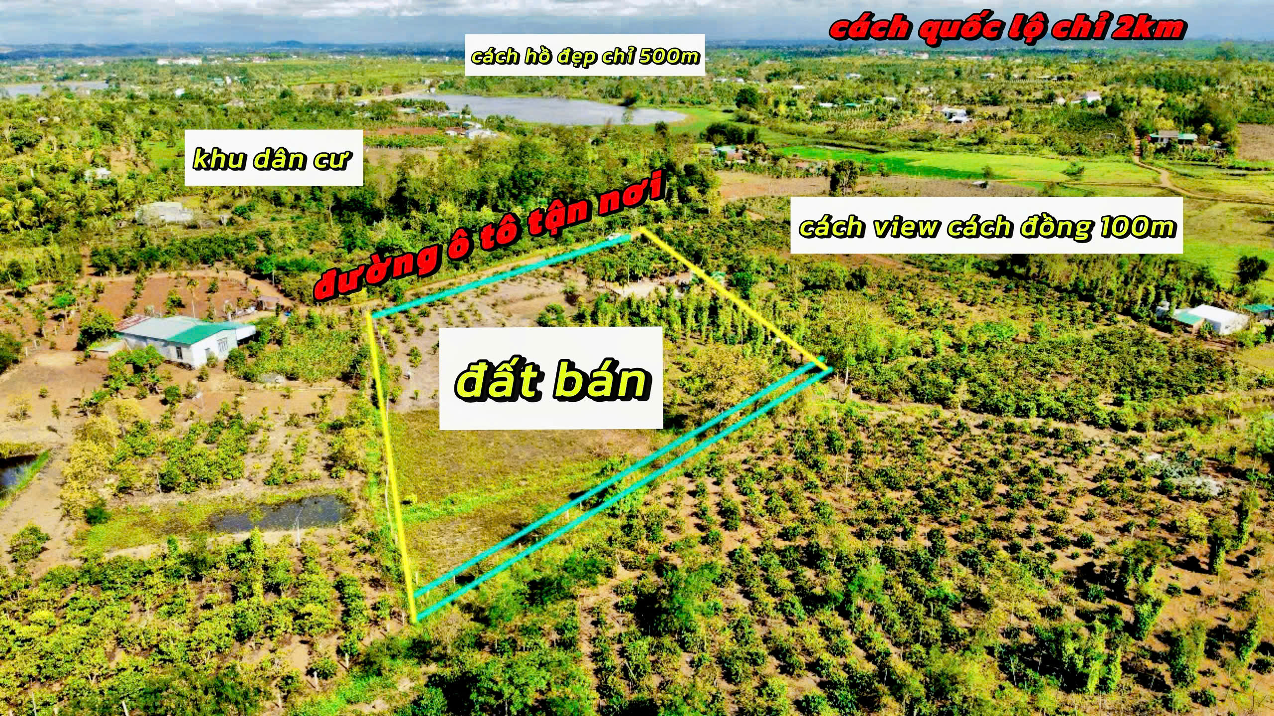 z6626506711223_0b7808fda6f9f497a4344c93e9a7ea32