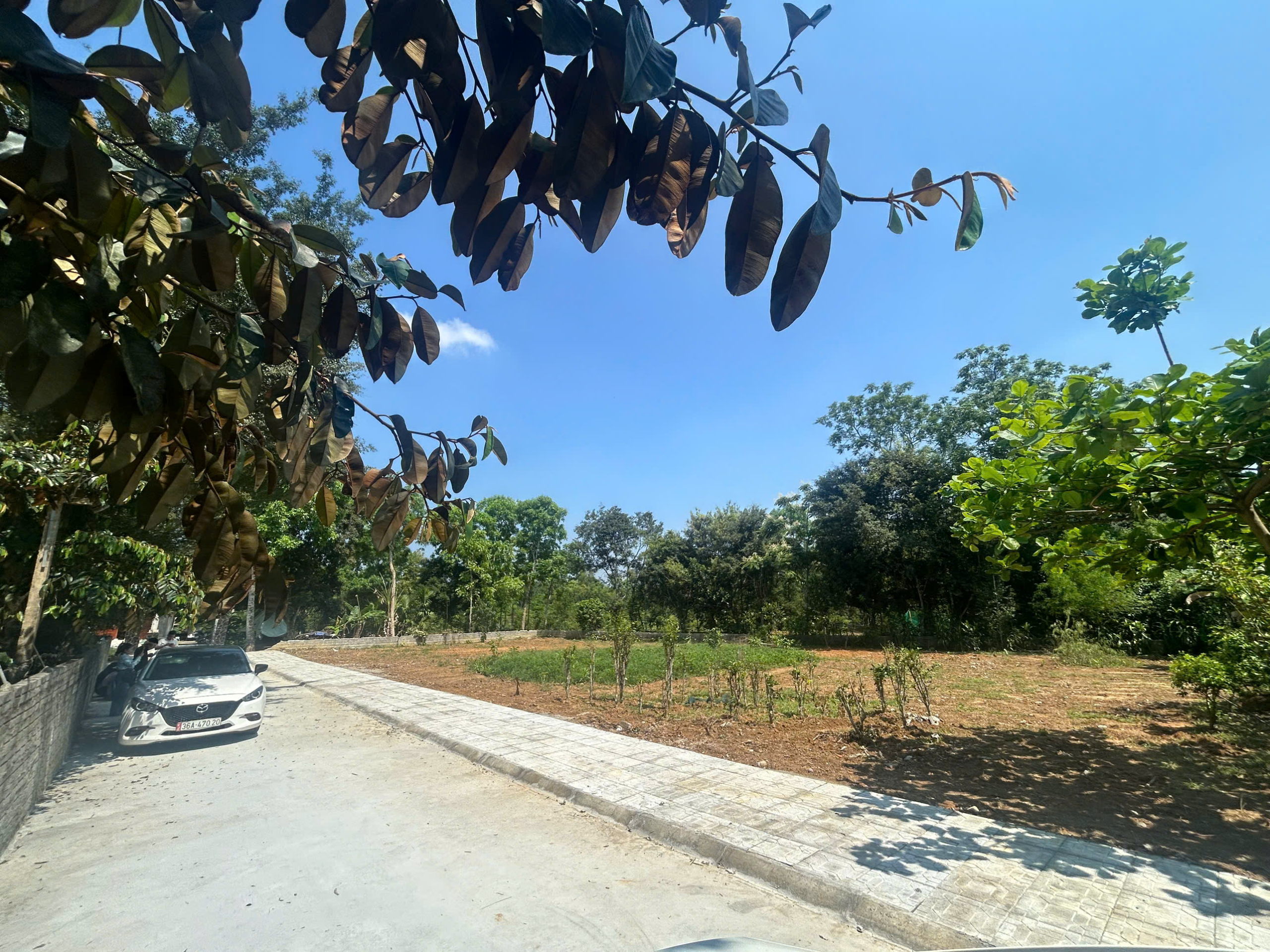 z6626873265025_0810ef3194ff6fc5a470d602d93eae63