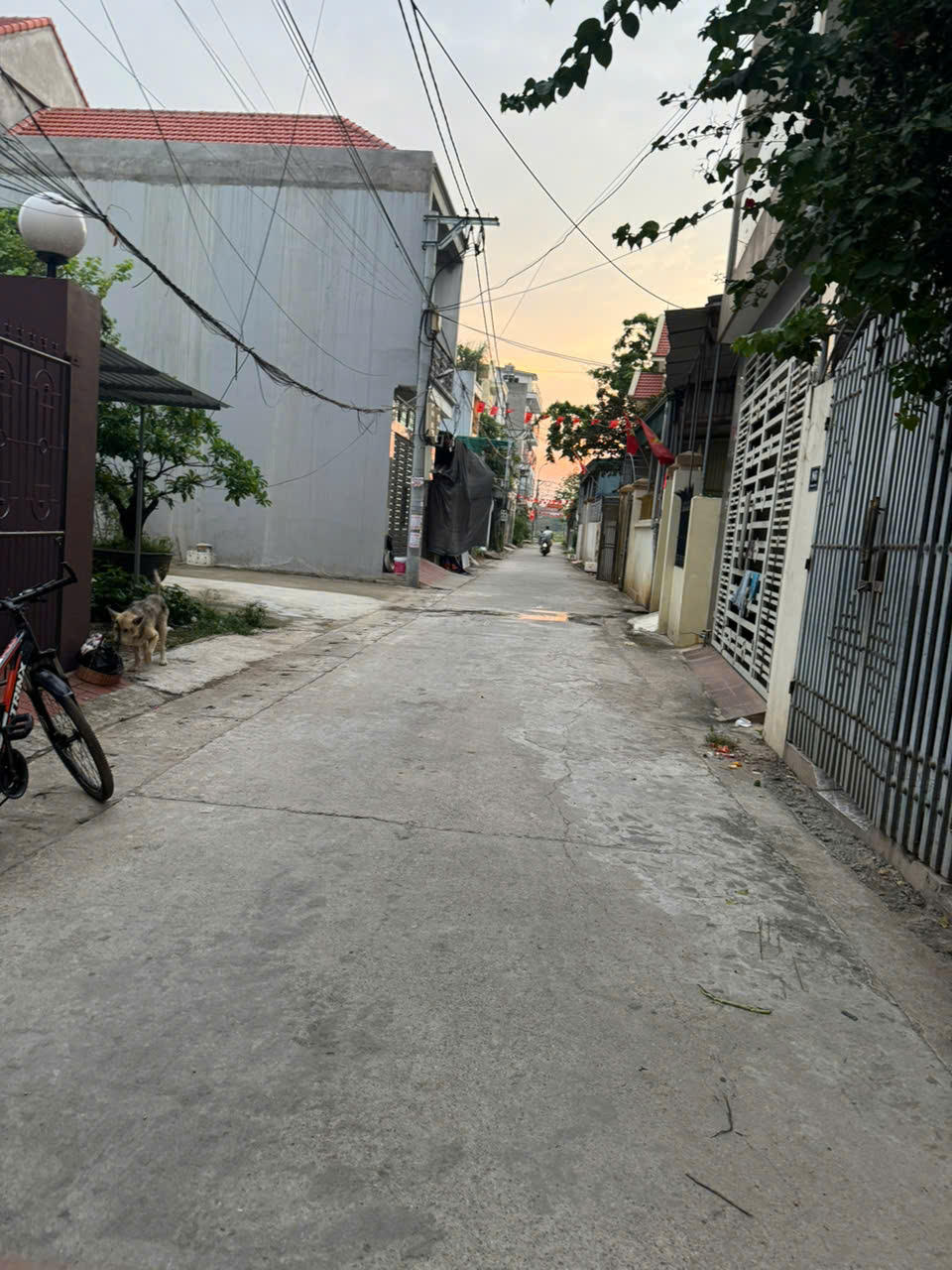 z6627753019613_bb6dadc6089f378d6b66c32633384f59