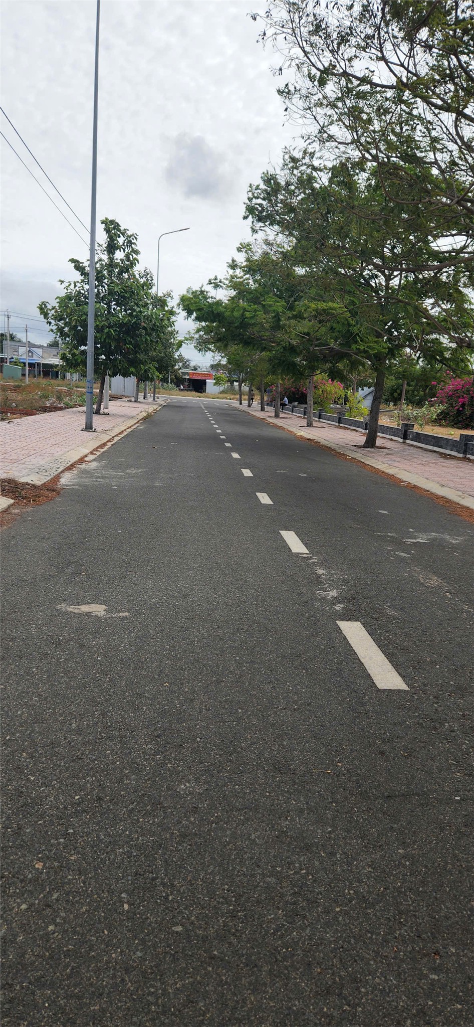 z6629690343077_f2559321db98e49fedf8b41ee97de1f4