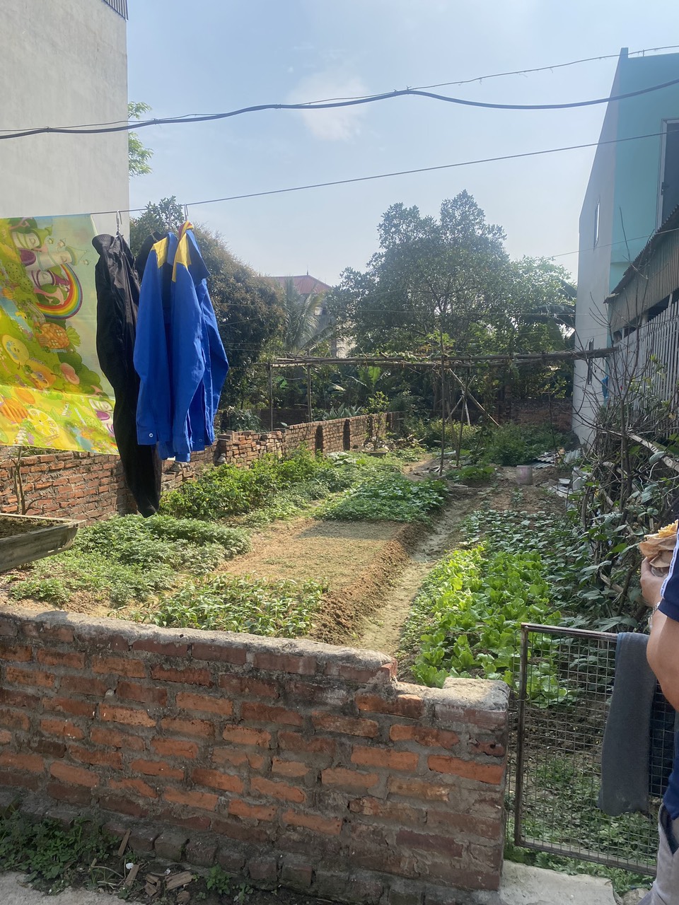 z6630899725399_5124952e2b634aaaf42c3c9e90419eb1