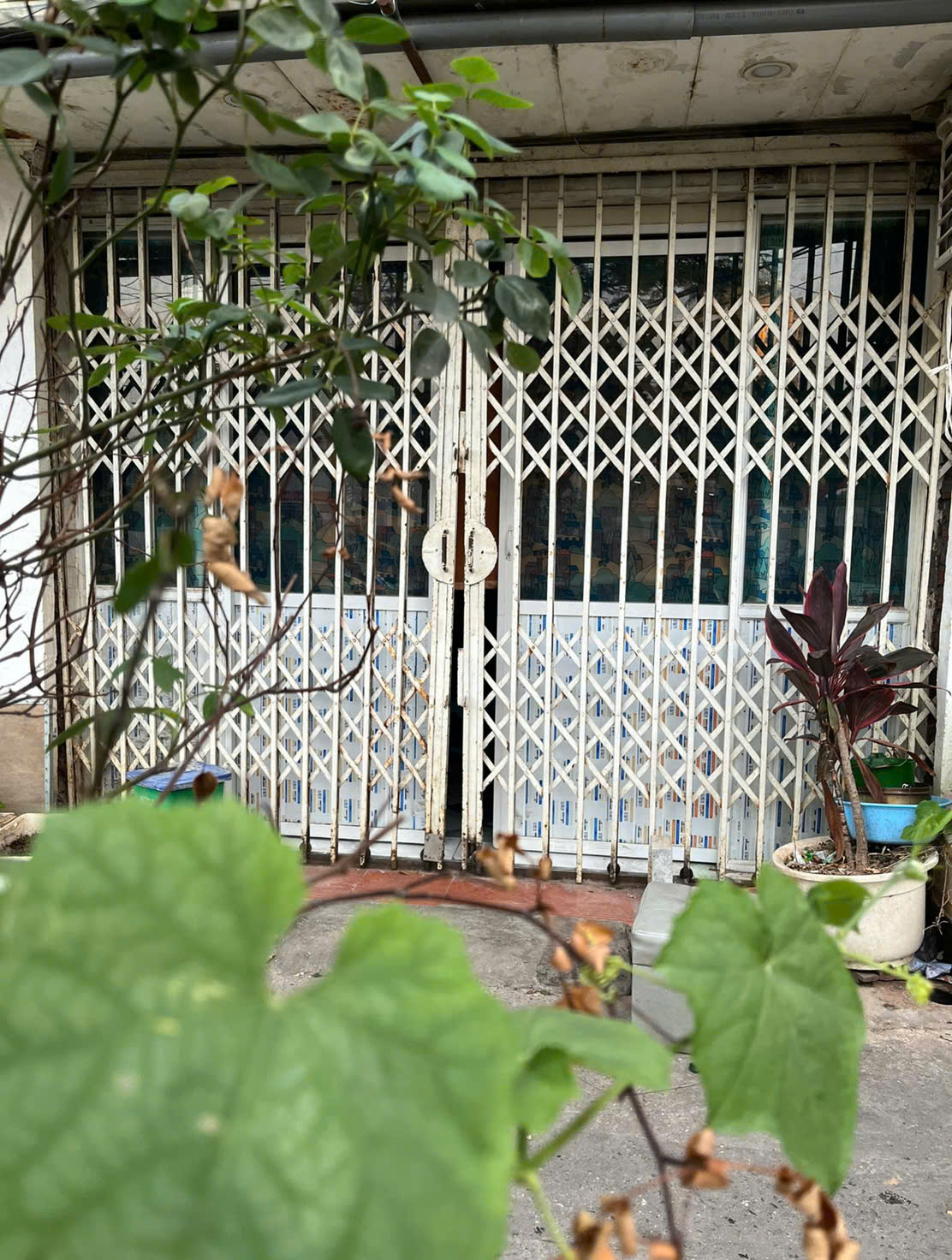 z6630996757848_0296dc64147f2ef3d902a1631a94e182