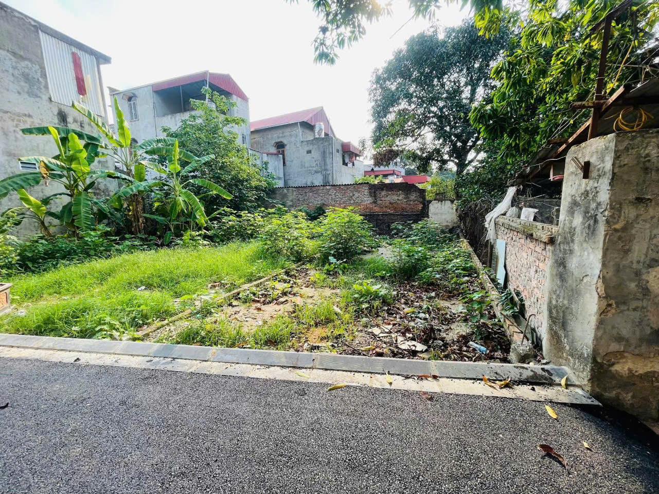 z6631465933080_92376e9aab79e56c582fa64ef96a7305