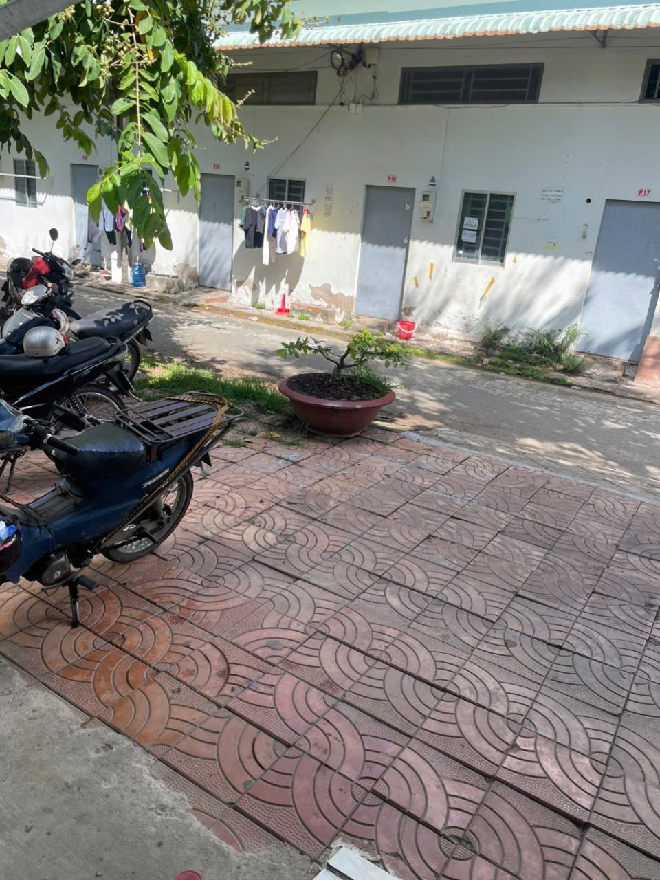 z6632666551641_aa39bc894c0adba93a0c9a8ec64cb4e8