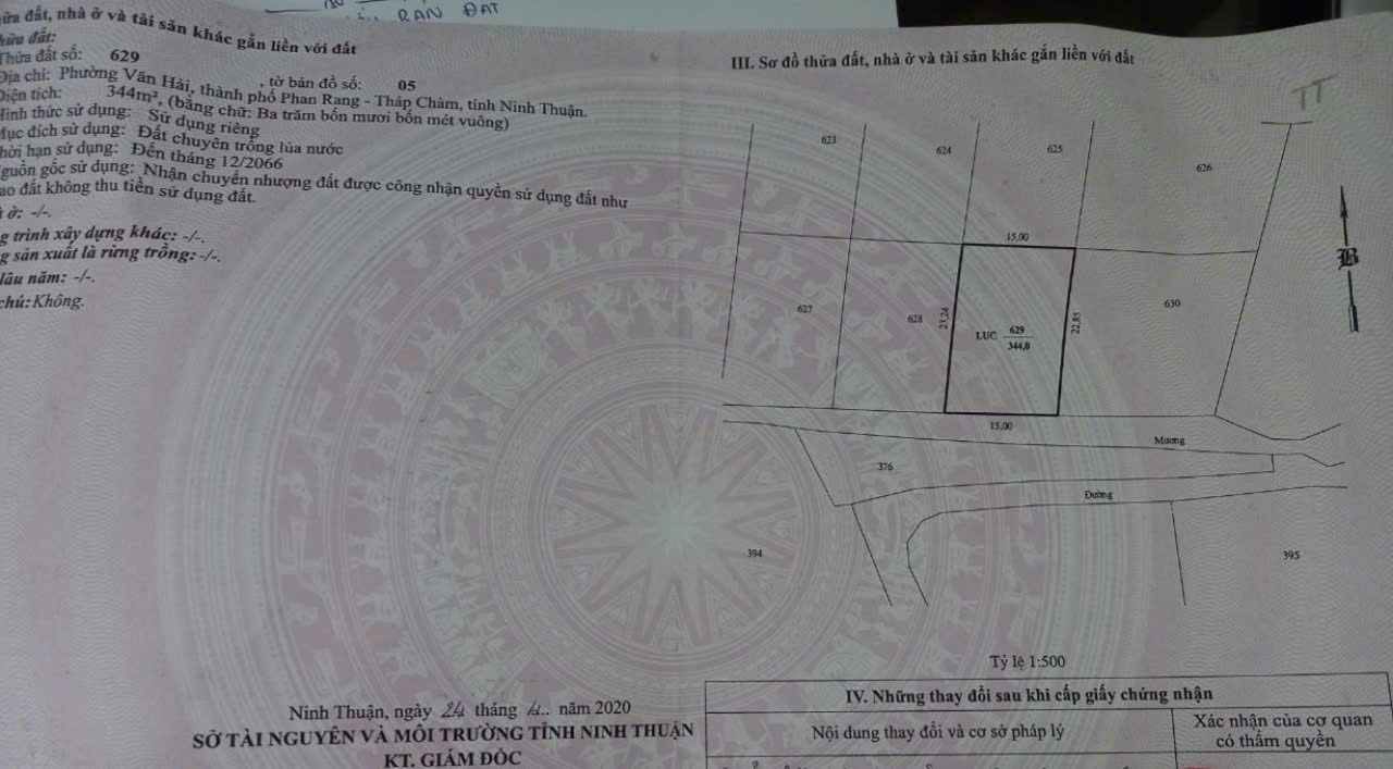 z6634281795874_ef468166b8991dadecce1ff1fd73f125