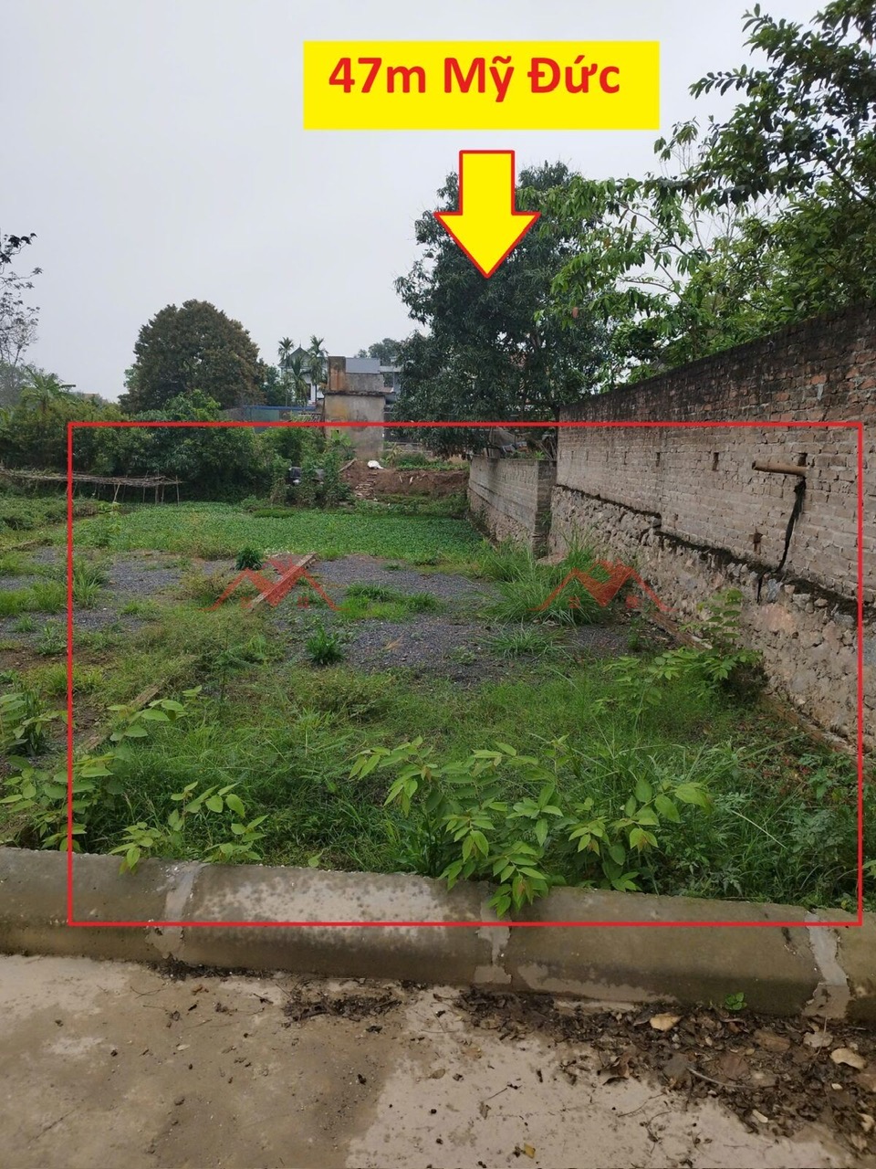 z6637929230511_2b11f47d2120e24e19af526bd5c0a059