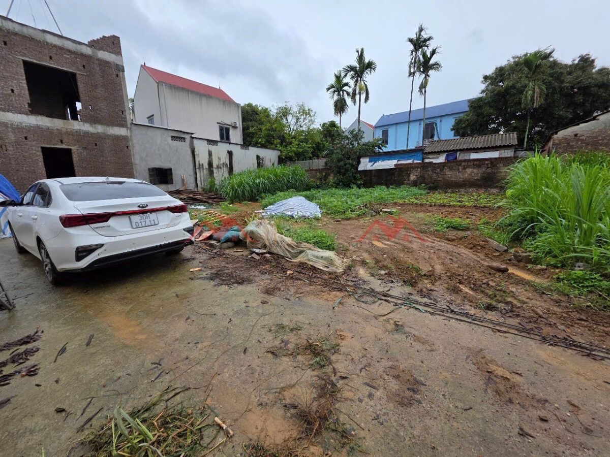 z6637939221484_ac2347a9e494fb4e3e6583cd0e4ac13f