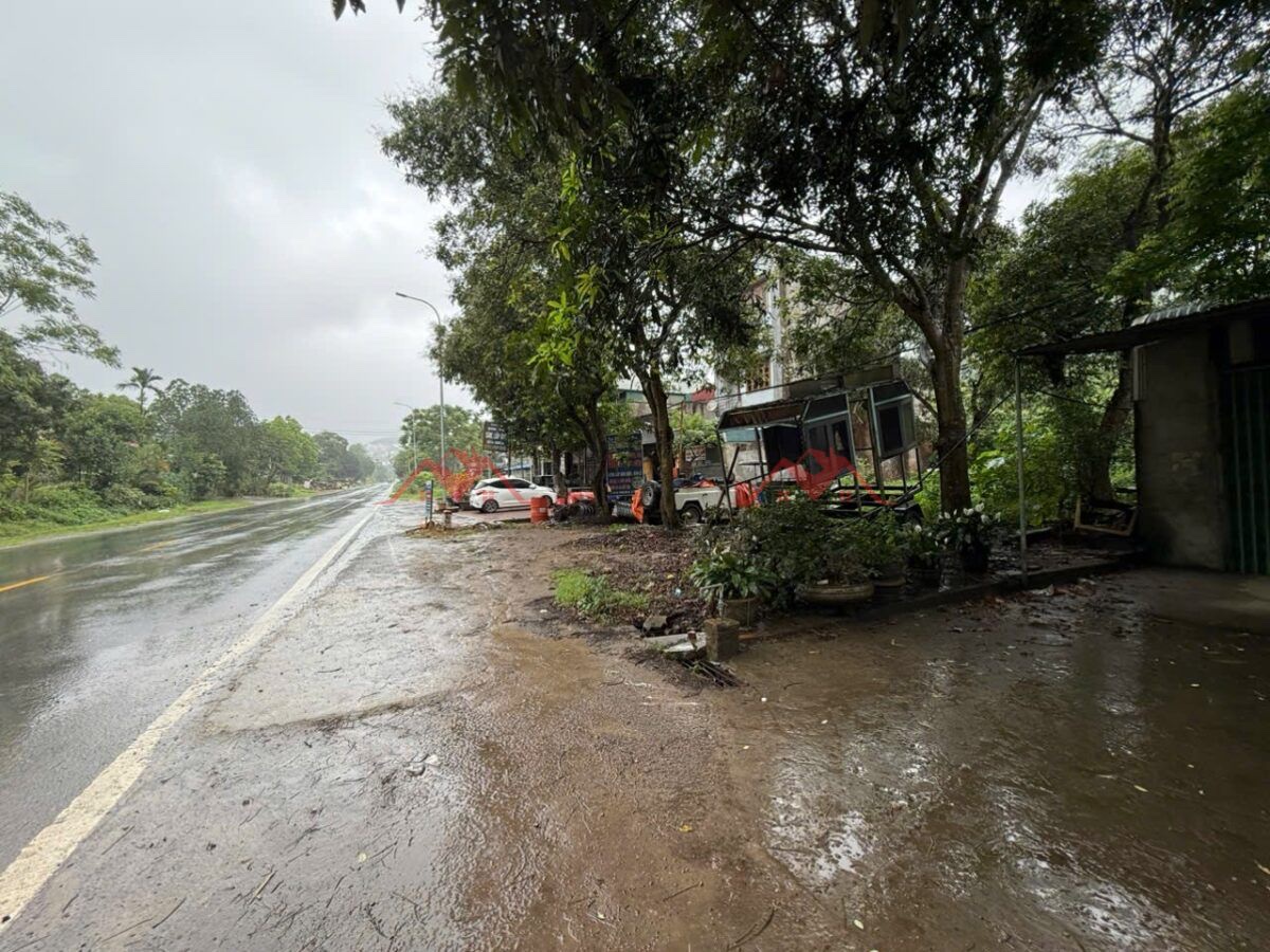 z6637946289879_f546753b682fb1ae1b60799558a4dae1