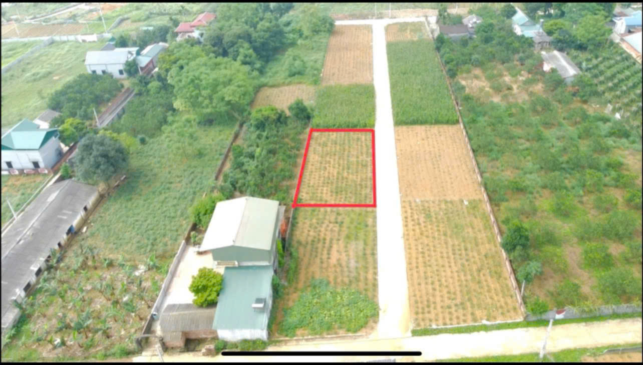 z6639194970642_4a67b04fe6471197147a4c954bdeacc5