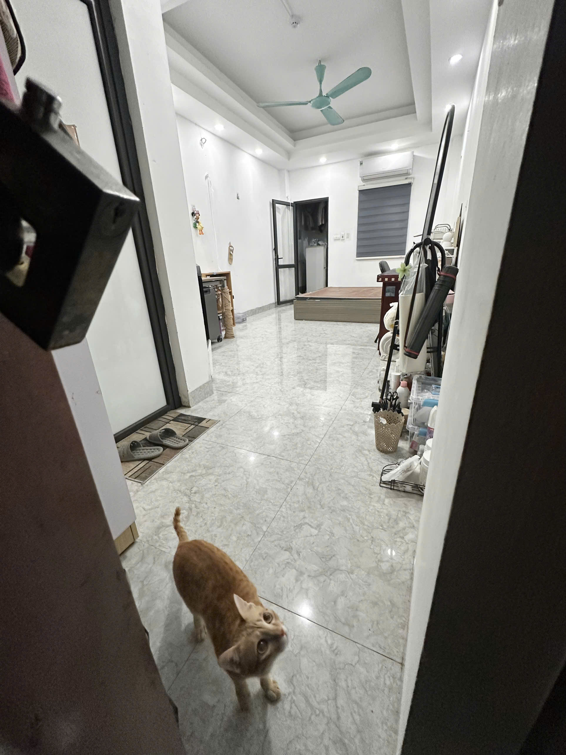 z6639542449224_7c46df5bd691dc8acad2de014dc6a343