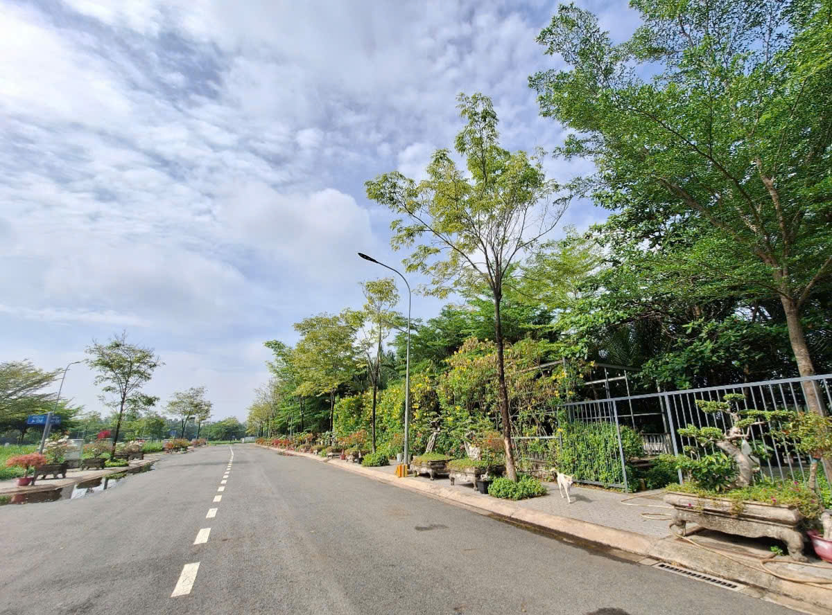 z6642722635984_4e3af37bcb2d431be8d940ec8200edf1