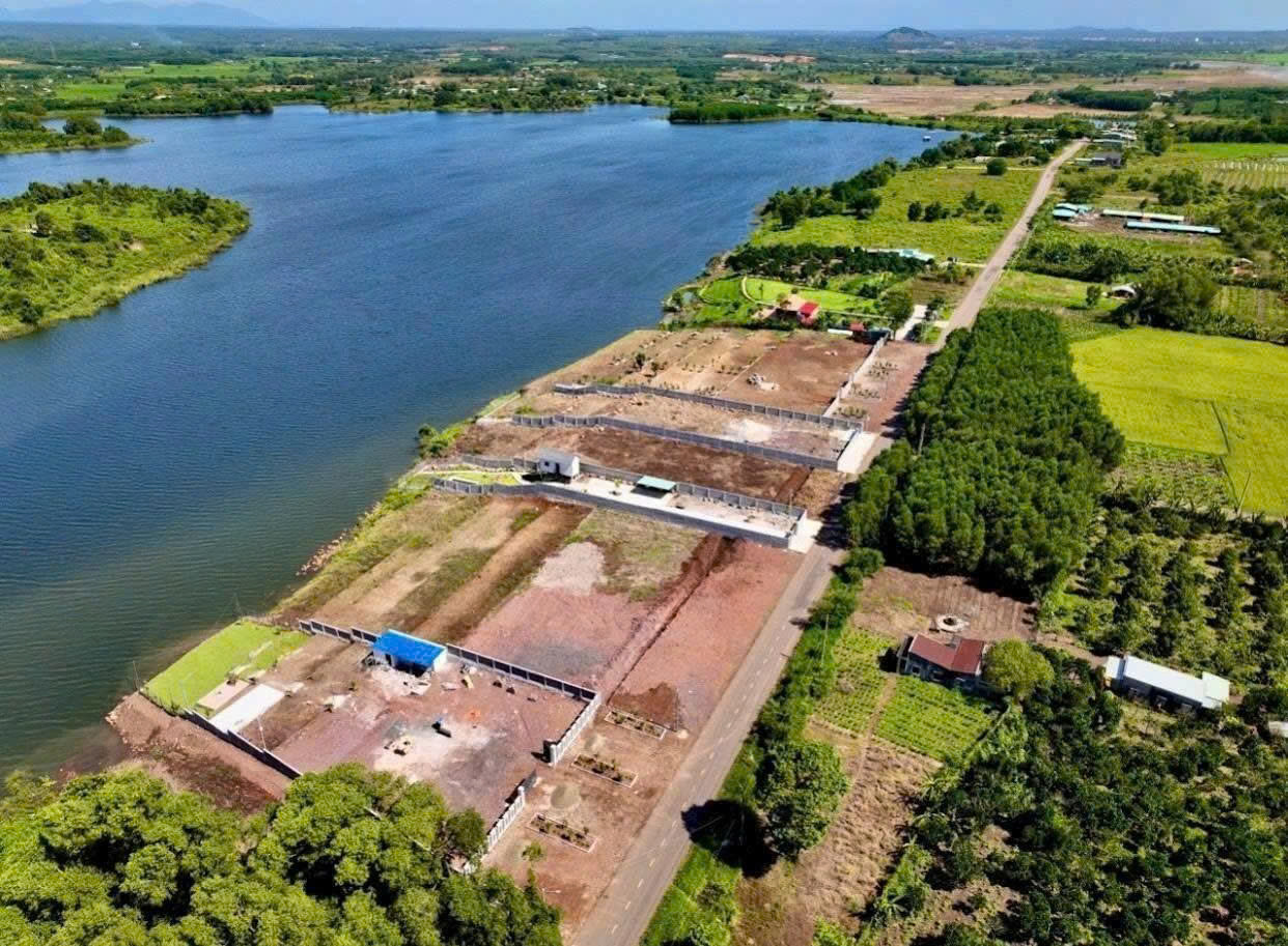 z6642852054928_e1d6f15e43ed847333707e12367e0481