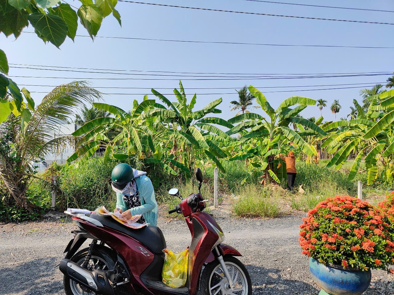 z6642862748849_695686d11f47401a1544b6c6a20981ec