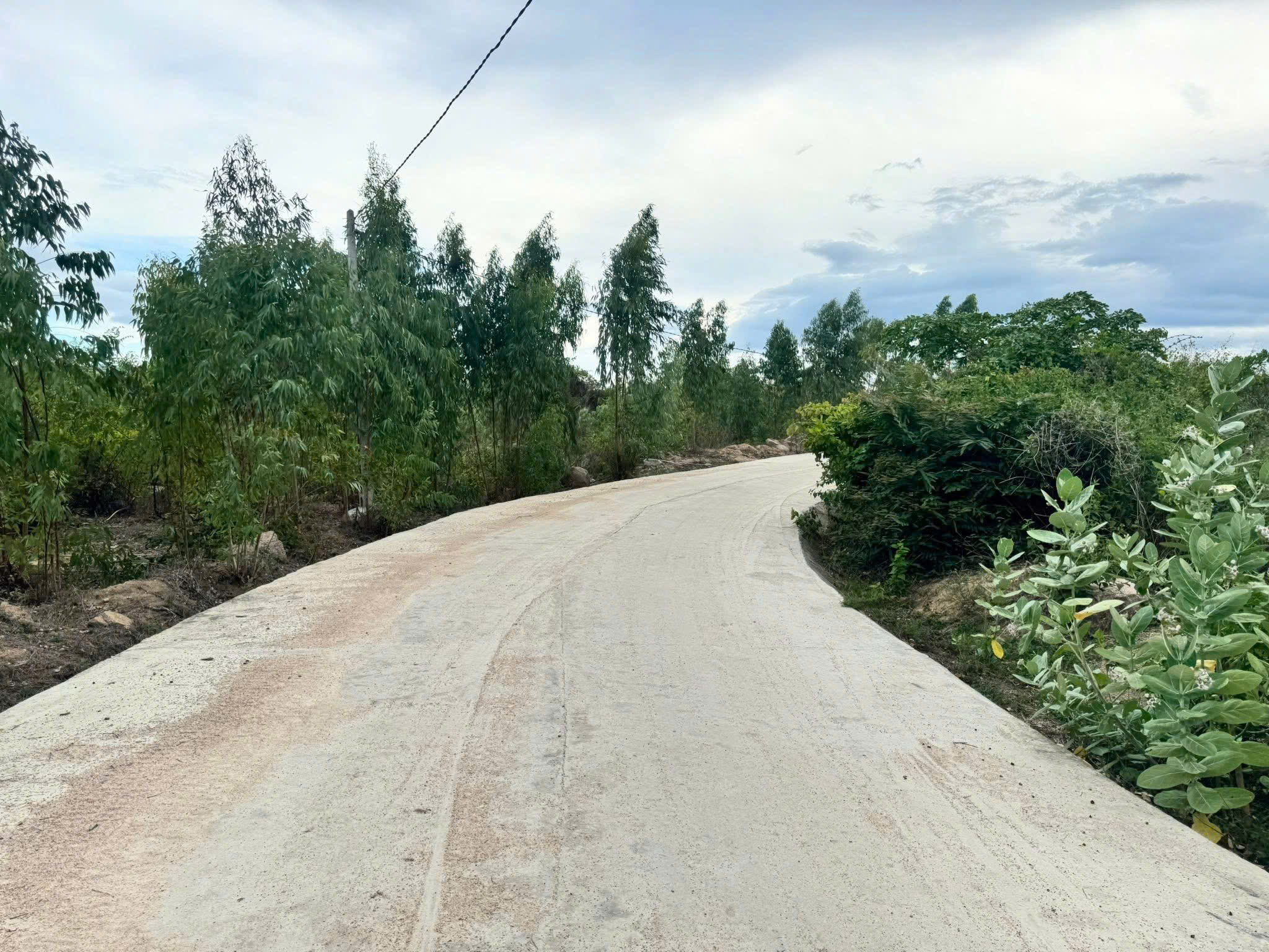 z6643226757307_5dee8fbeb40148bf4e993940b4c1450c