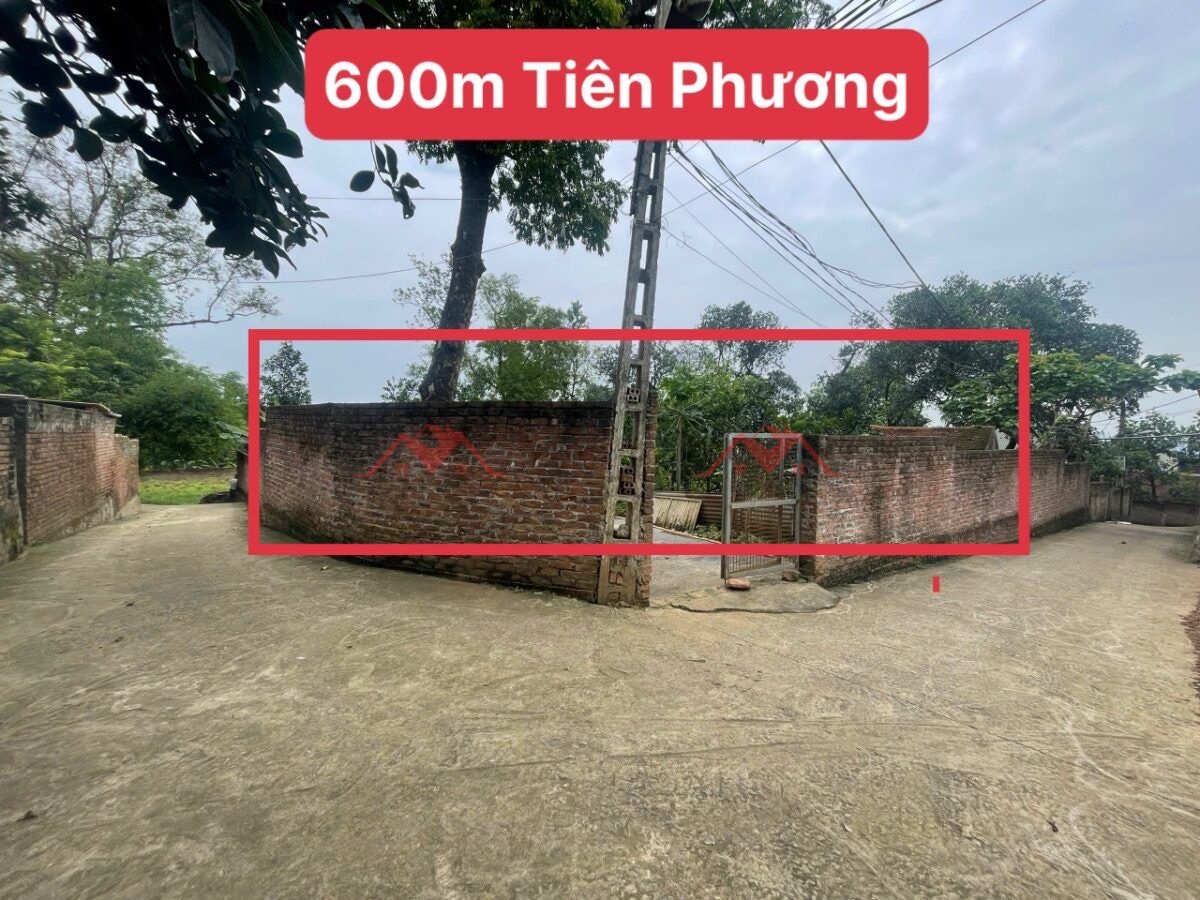 z6644925050359_baa76bc5d24100f93a5abda6bd5215fc