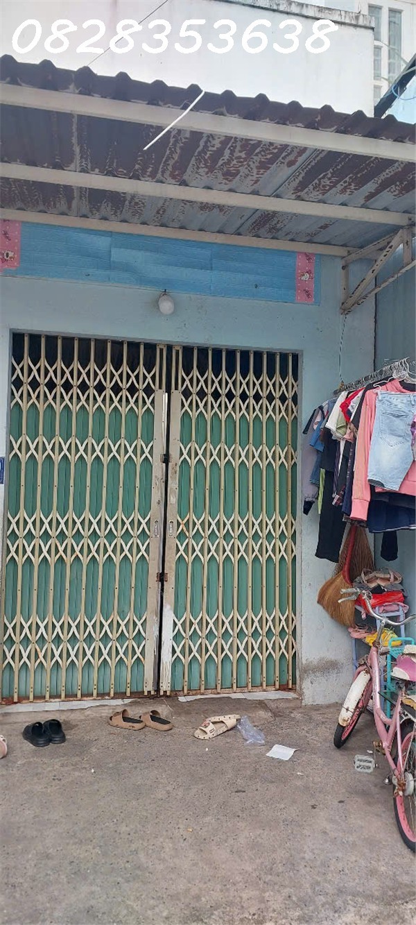 z6645936177638_86940481dfc486996b1354261f80ccea