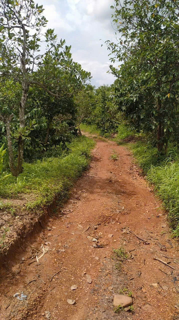 z6646349715274_7cb9daee8ada43143d80c119d4c2c735