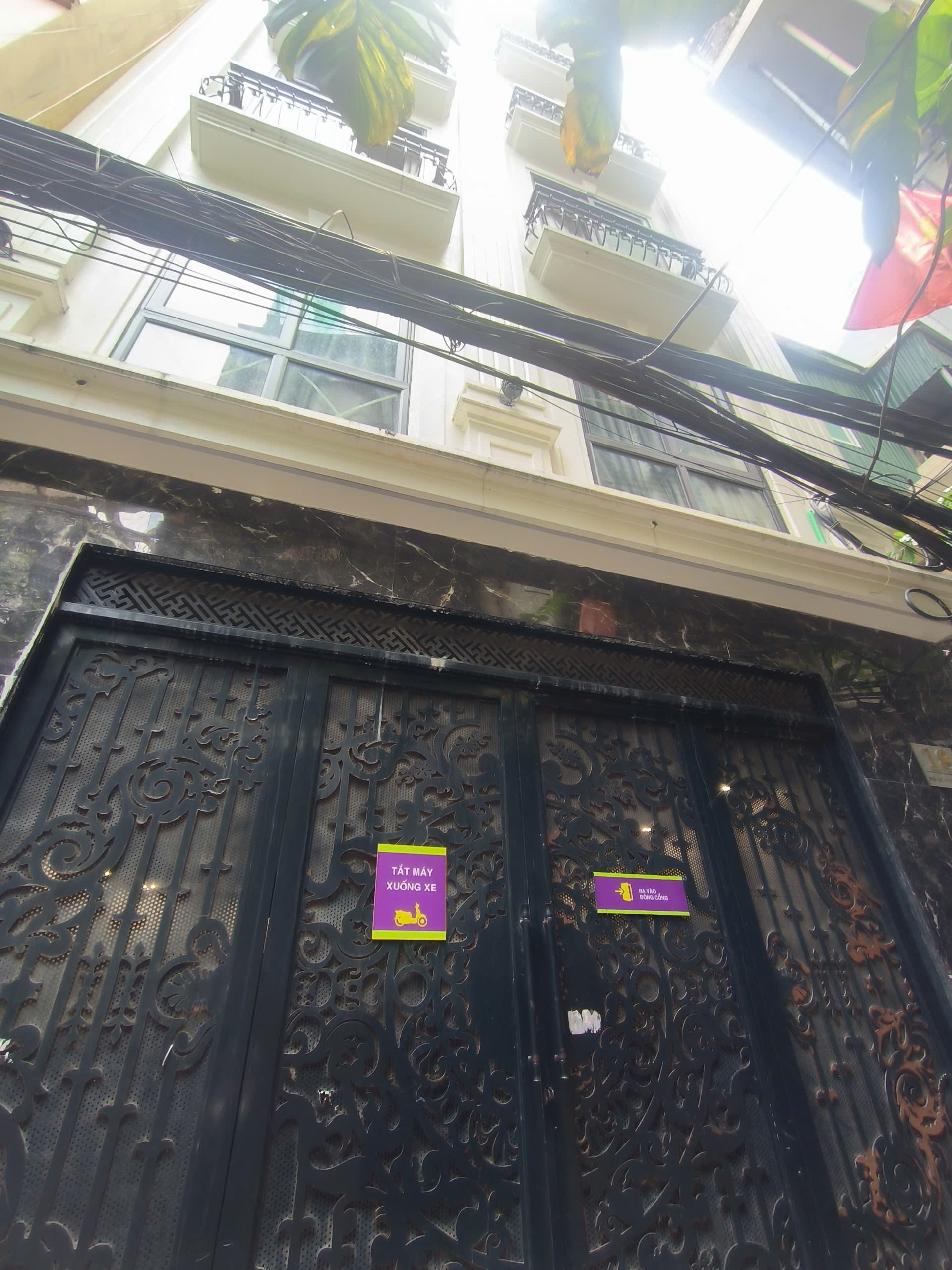 z6646812081531_6992720986448cd0cb945a7ac5e5592d