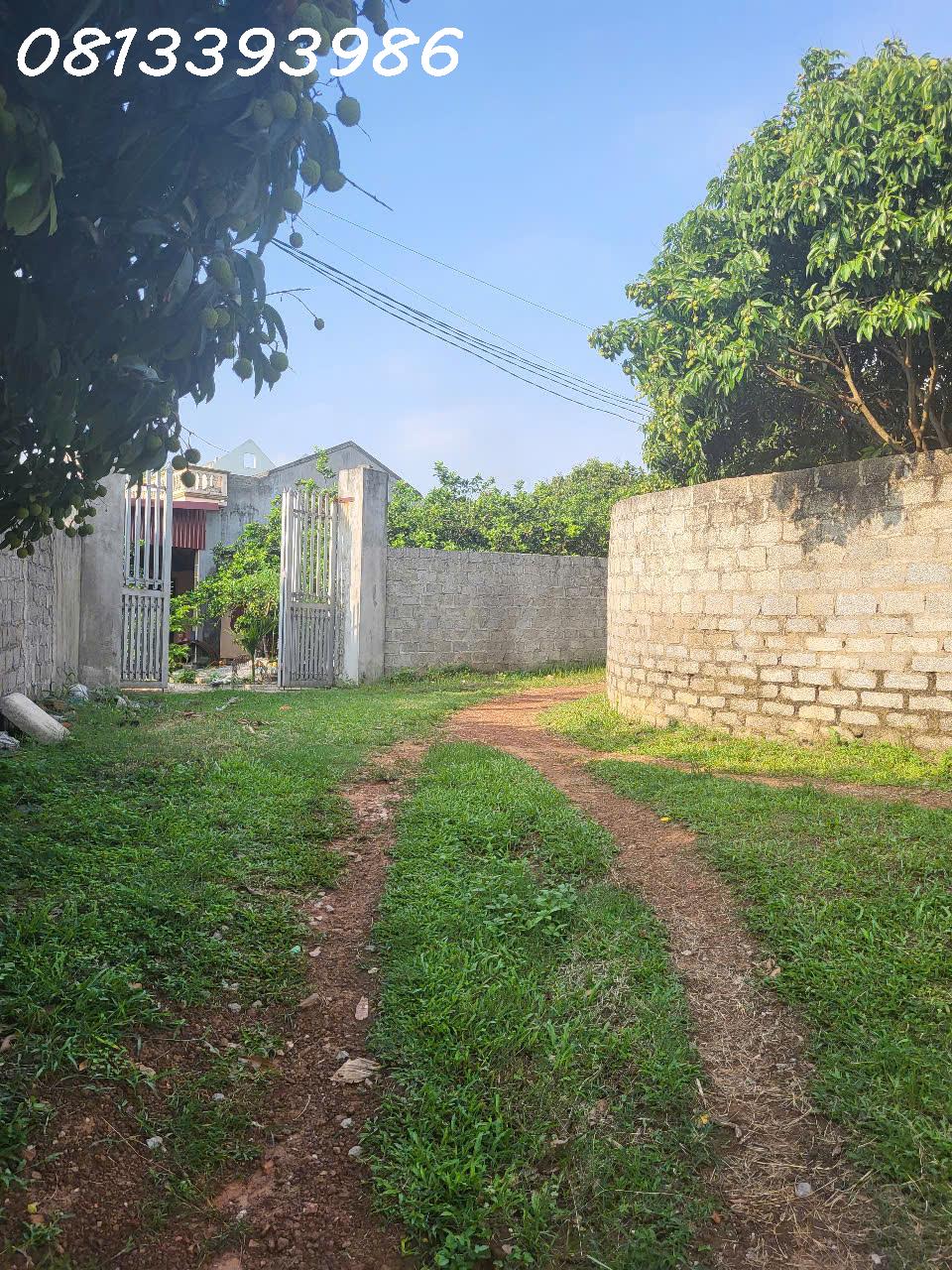 z6648220301183_83f50c495c15b9dafe14062254a278df