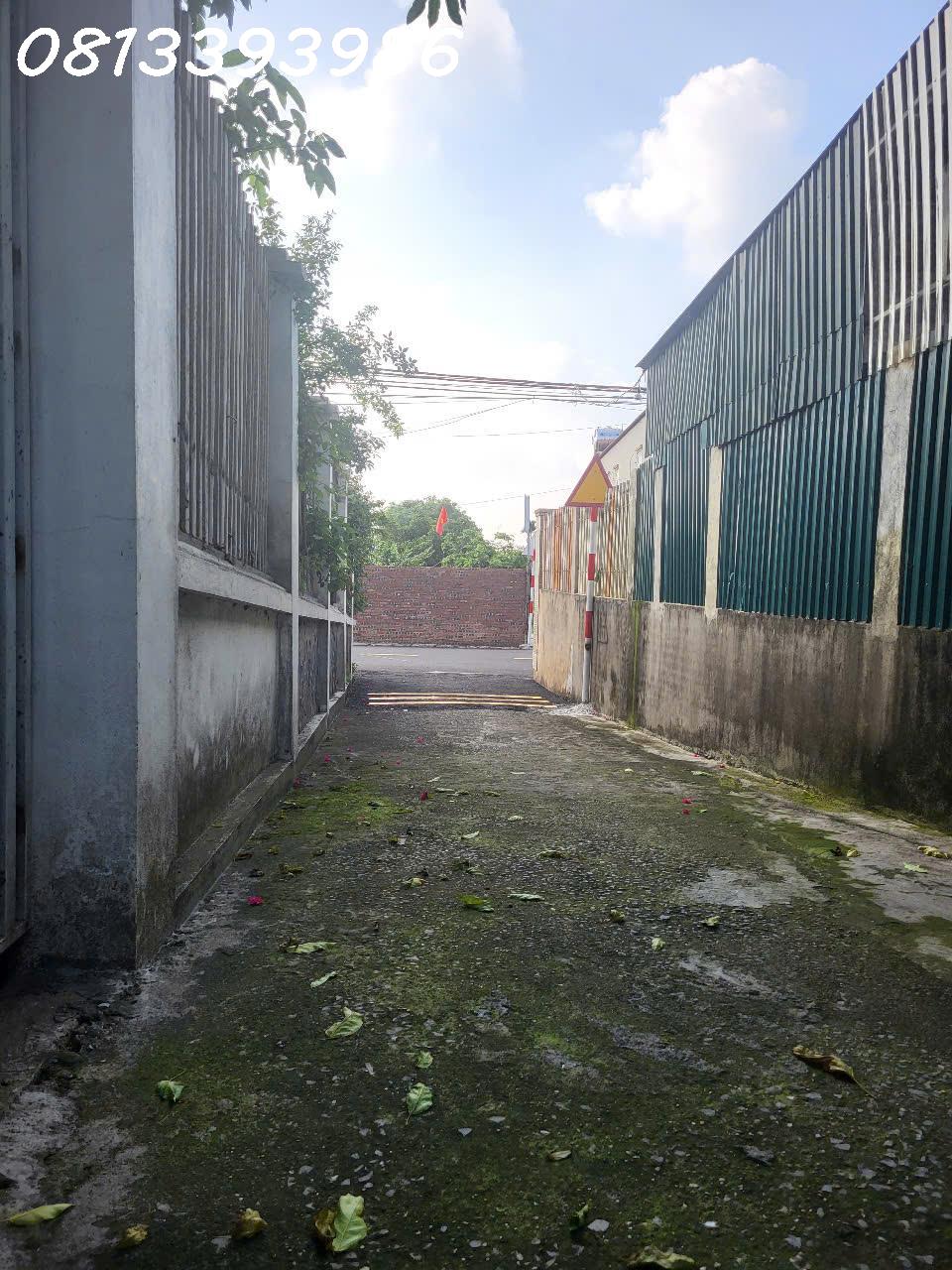 z6648223393815_dcdd76fdd03951fe9ffc983cdbe7310d