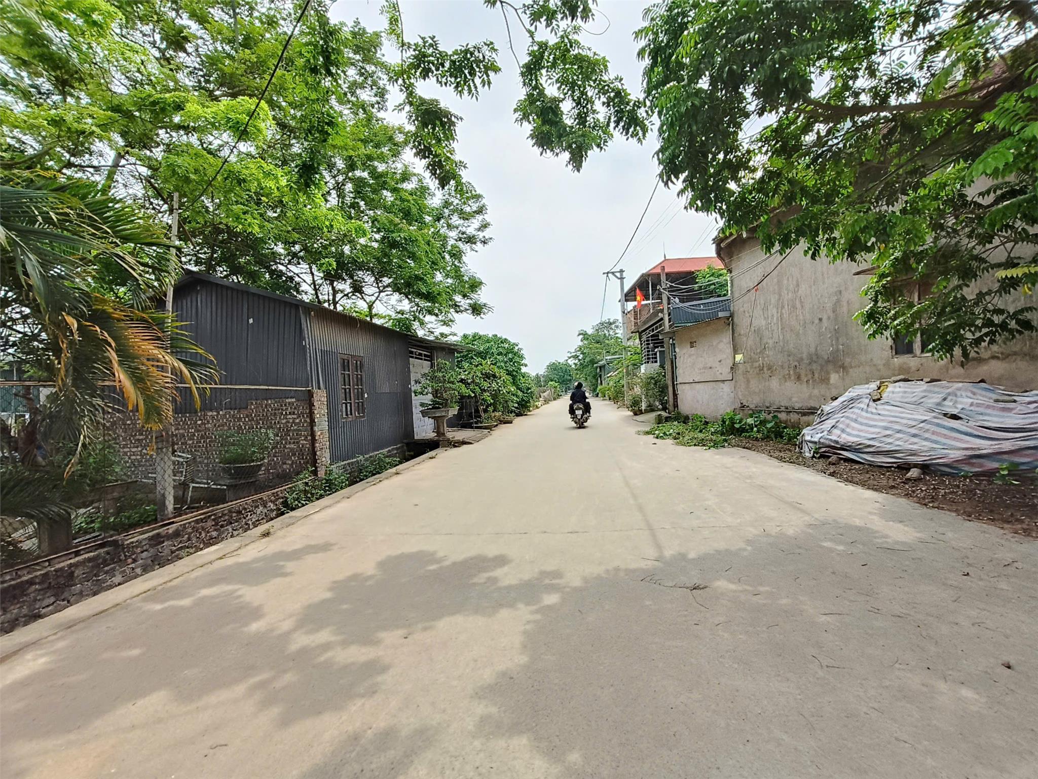 z6650803773924_8c5938b236a9b038e360afe004b17368