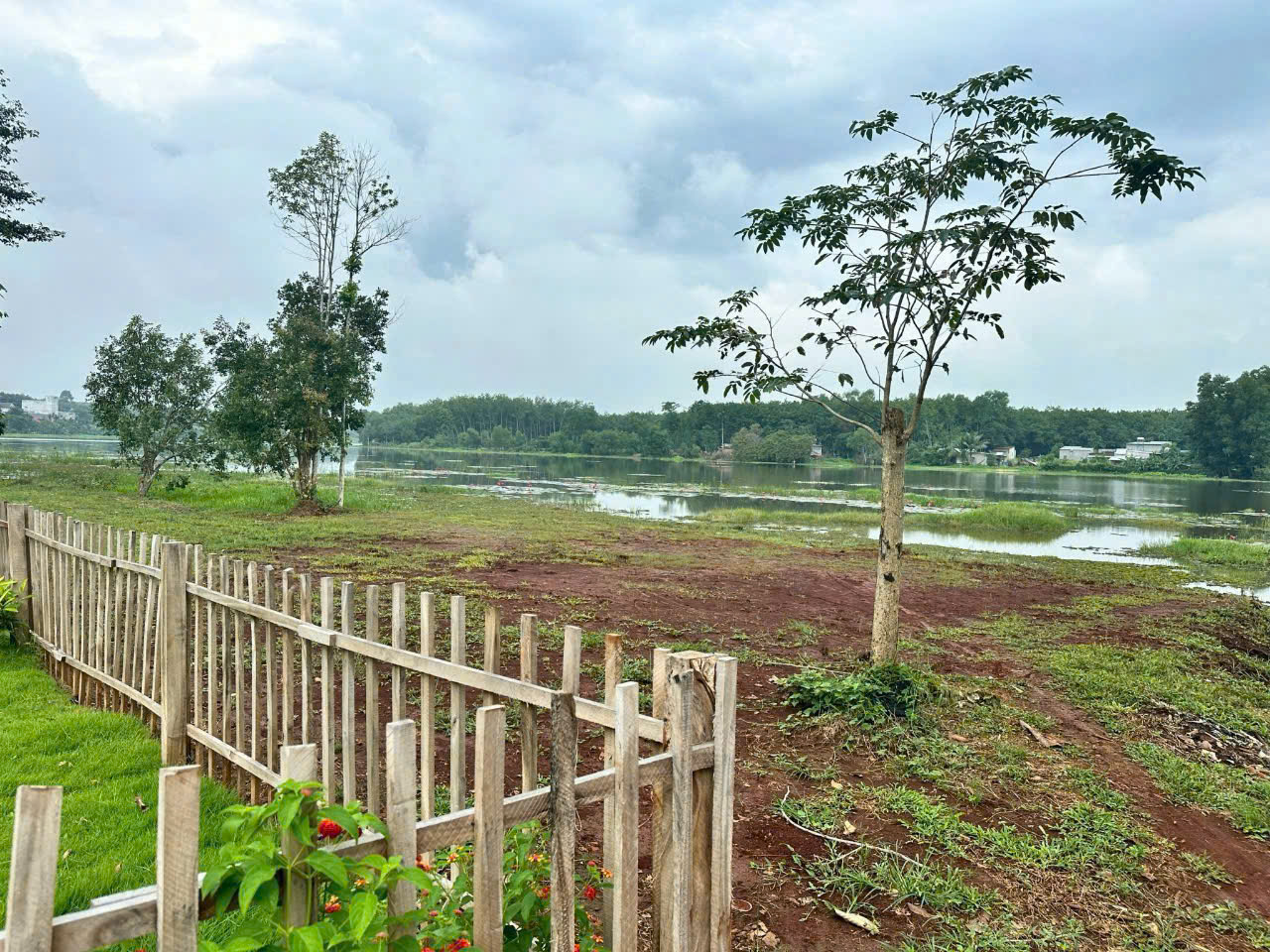 z6650979434224_a65d2f82d05204a2c43ec7479423f615