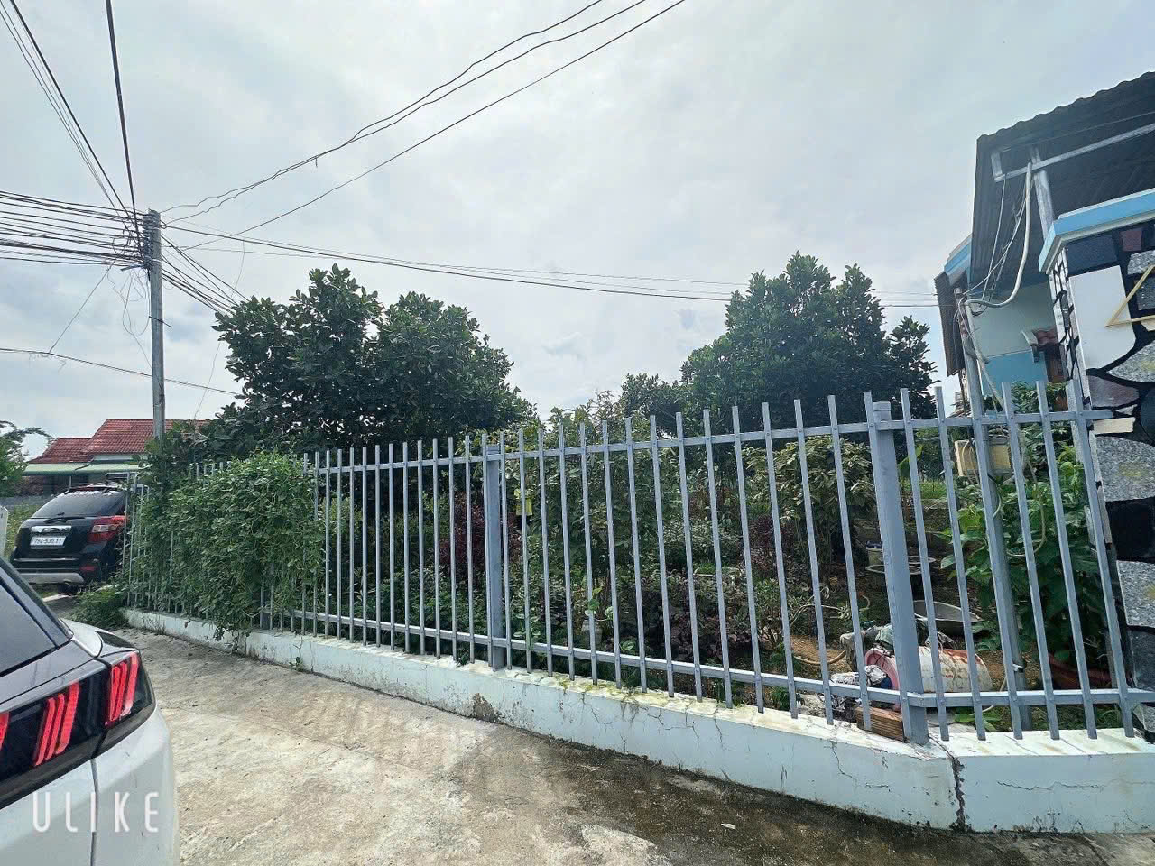 z6653265971465_4c05300370350a44158625e593ed37e1