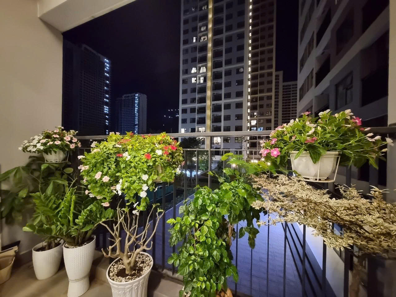 z6653673371416_f8a95f1f0a14e7c37a882b3b45a5356e