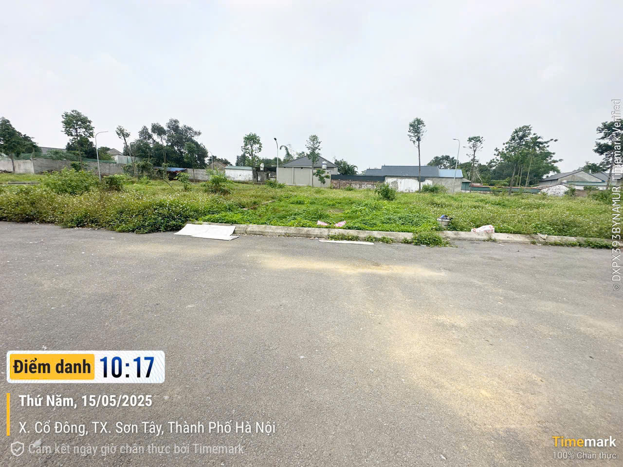 z6653831562538_75c409a88cb0fea0a95266fe29cf56fb