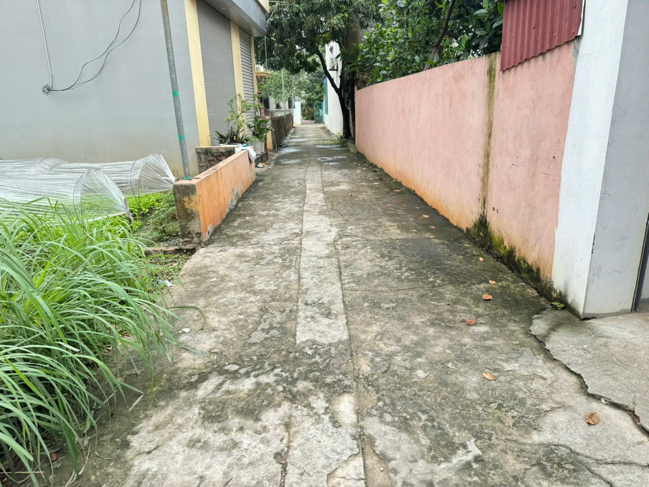 z6654556575991_18666022de69b6947e114f2cf84d1bab