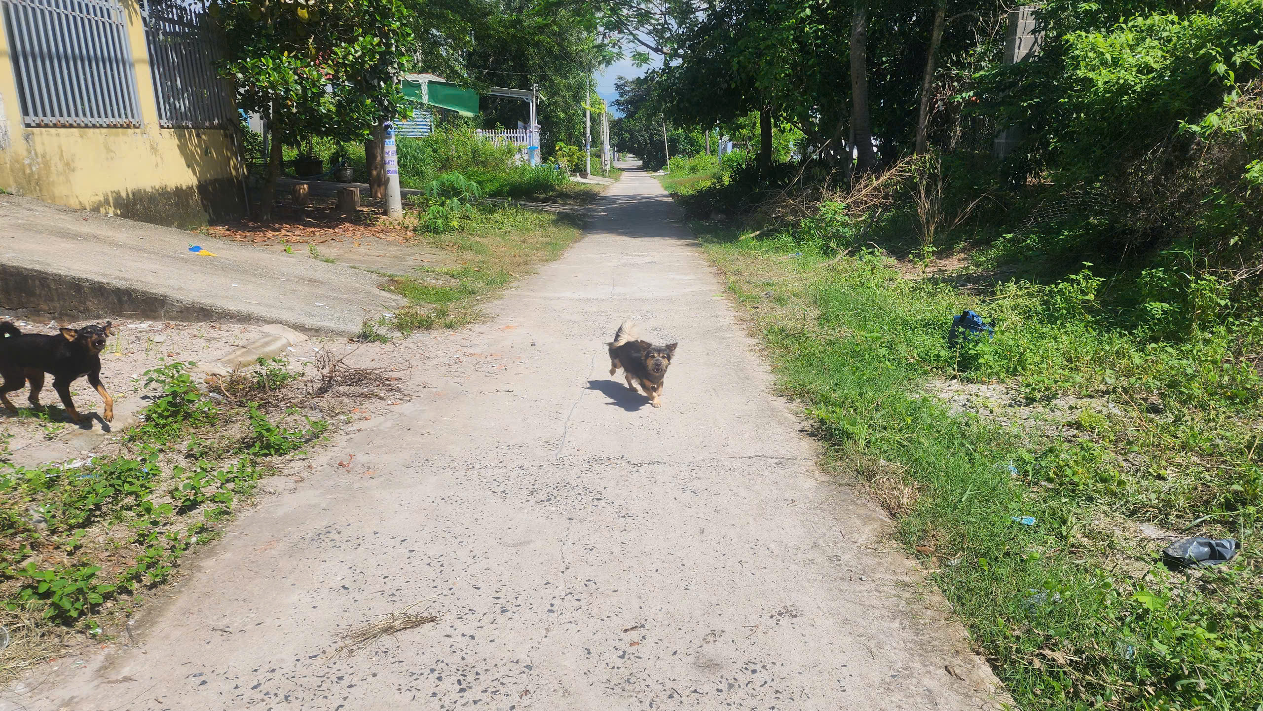 z6656909115758_5fb52d1ac390764ceb3320a5fcecda16