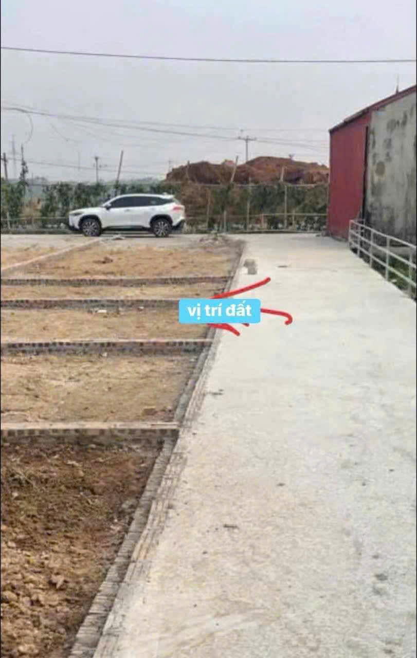 z6657026396204_ba5561c6d6e456a3f53d46e2624c9520