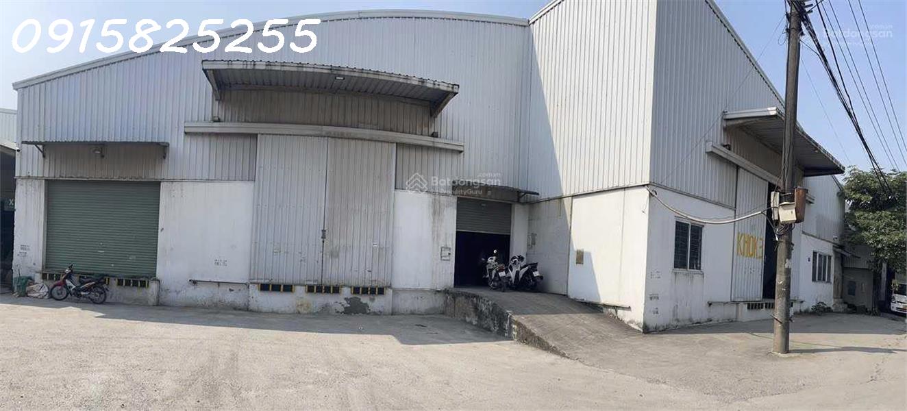 017965b9-a3fa-4258-a103-35ddc18a2e8f