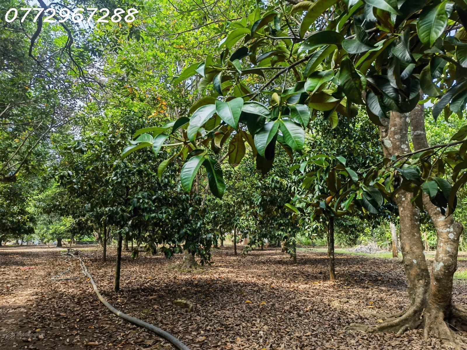 22de7de9-bfb9-4f35-a215-6449a99f3cdd