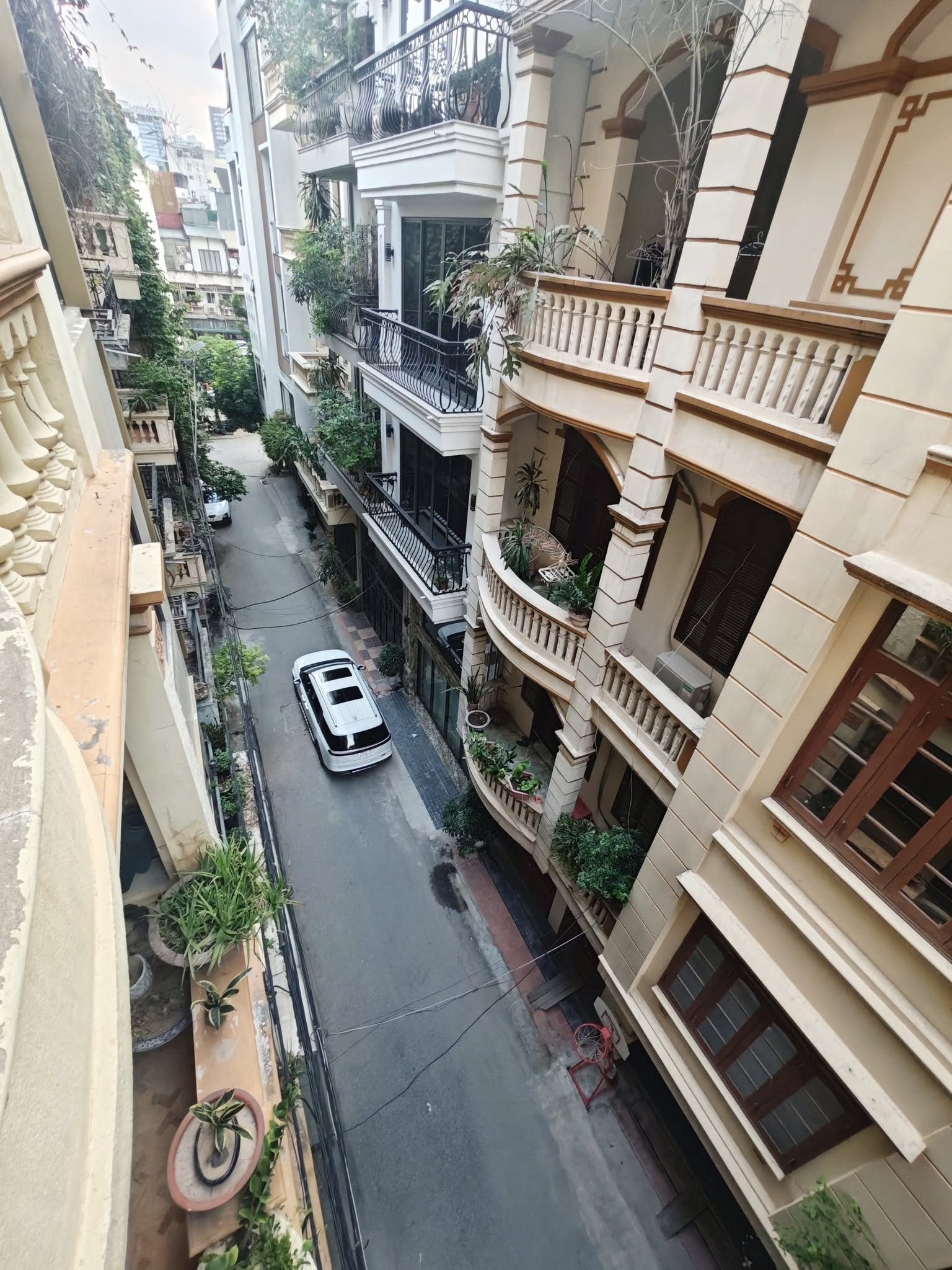 503589257_10229653264336441_1026725940428213784_n