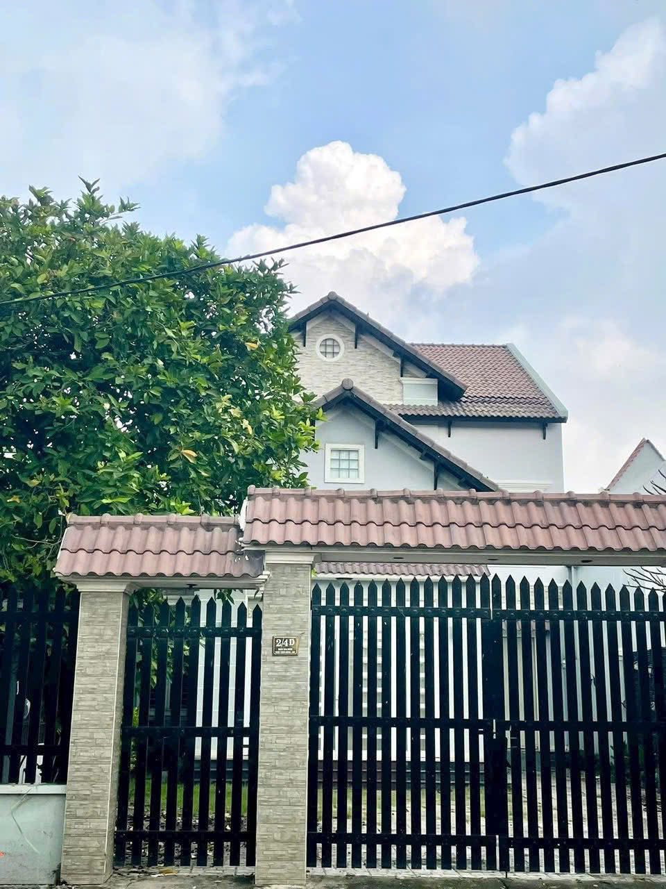 509358700_1443122586821117_6016292543171859333_n