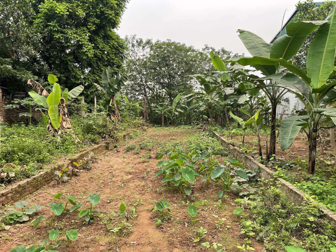 509434965_735188742527374_3672956589320662433_n