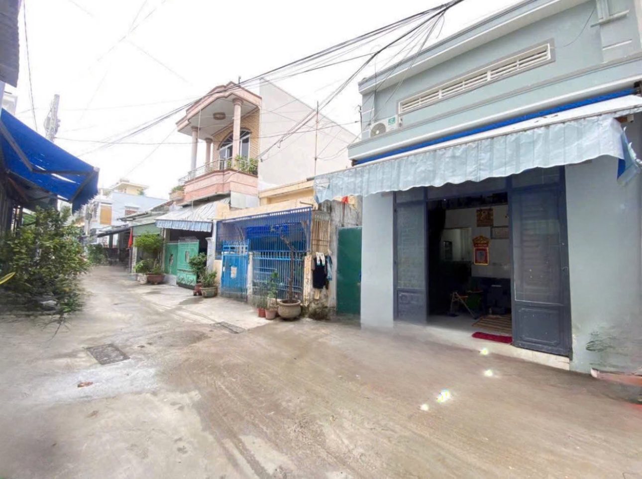 510476840_4421973198127936_4775876444530762651_n