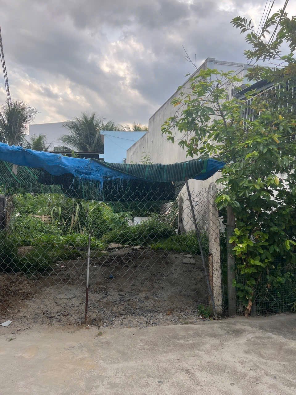 510588093_4424001647925091_7294982893027604102_n