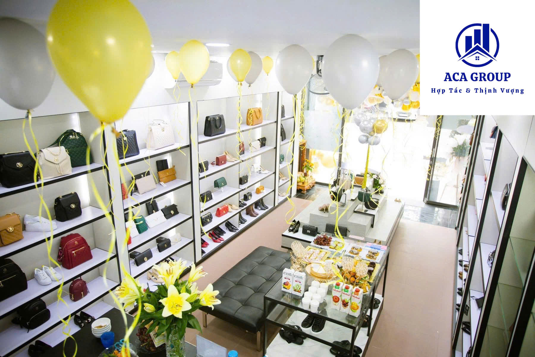 63ecebf15e7cea22b36d6