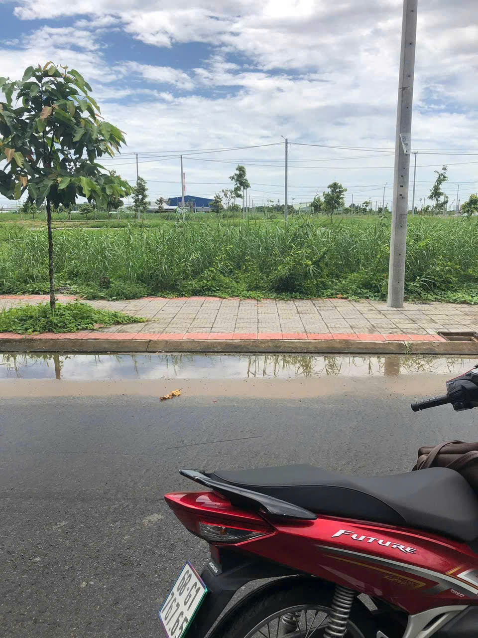 7863338b10c1a79ffed0