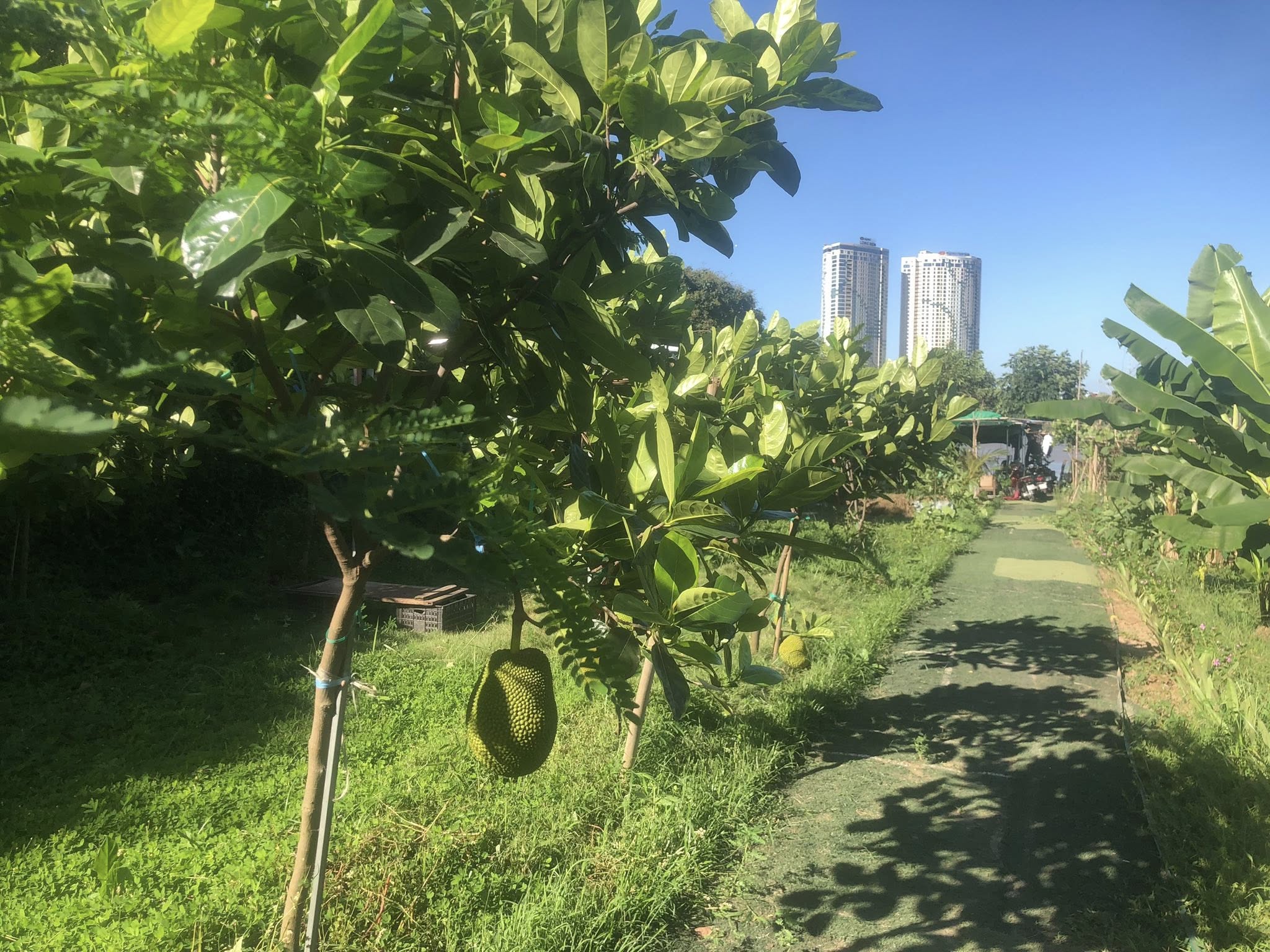 cho_thue_nha_long_bien (1)